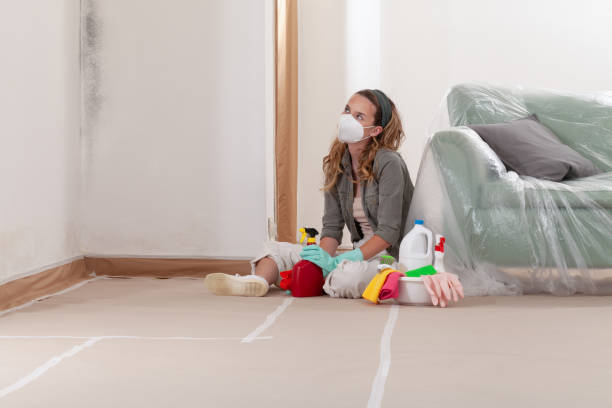 Reliable Mold Remediation contractor in Franklinton, NC by Cheap Mold Removal