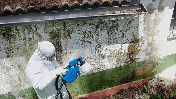 Trusted Commercial Mold Remediation service in Franklinton, NC - Cheap Mold Removal